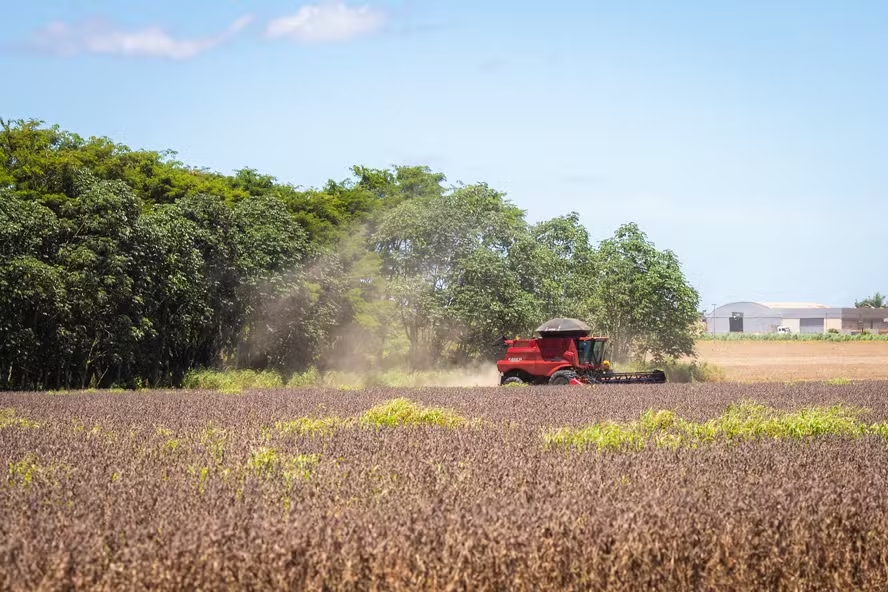 Colheita de soja atinge 10% da área plantada no país