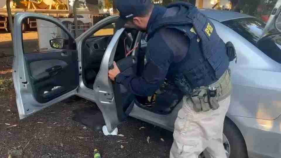 Mãe é presa após transportar 130 kg de droga em carro com os três filhos no Paraná
